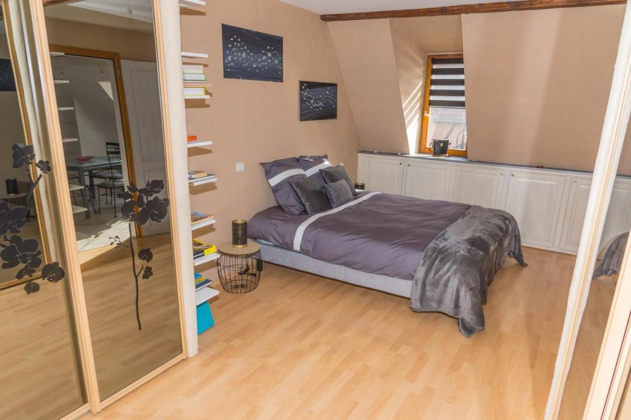 Charmant Appartement Alsacien Рибовиль Экстерьер фото